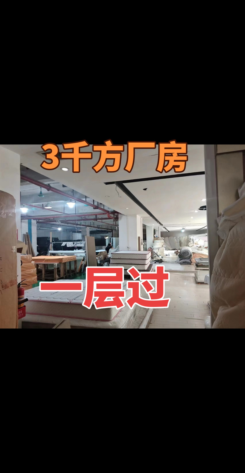 厂房仓库招租信息免费咨询 抖音上的高效找仓新方式